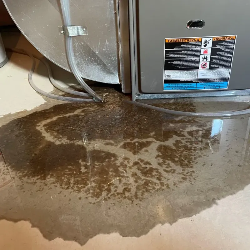 Pipe Burst and Leak Restoration in Traer, IA