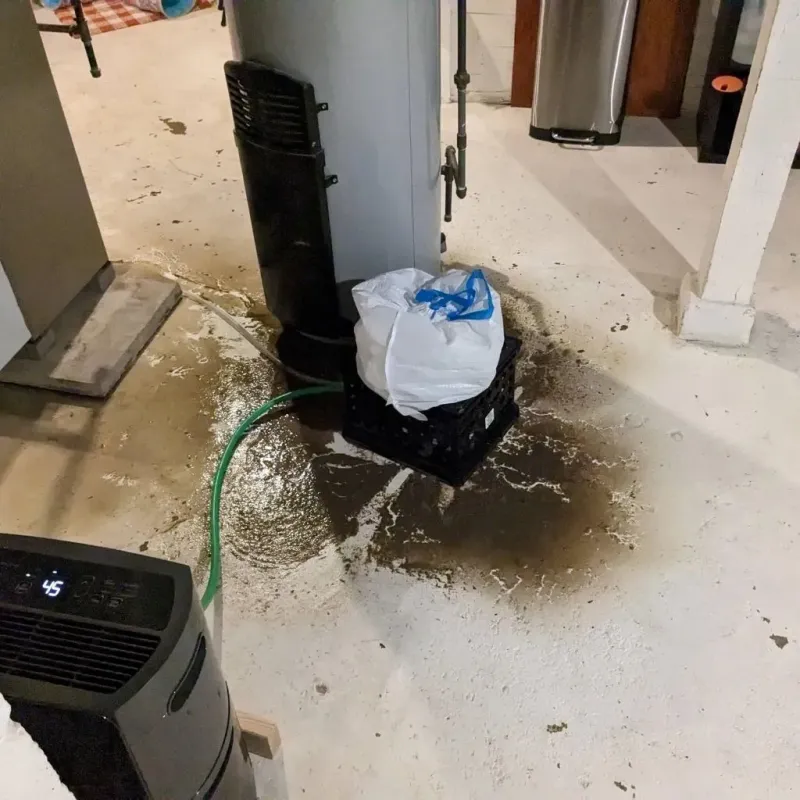 Sewage Backup Cleanup Service in Traer, IA